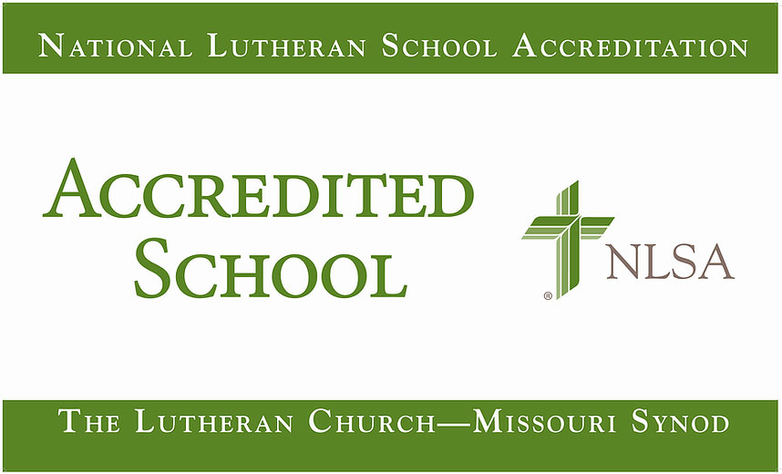 Logo Nlsa Accredited School